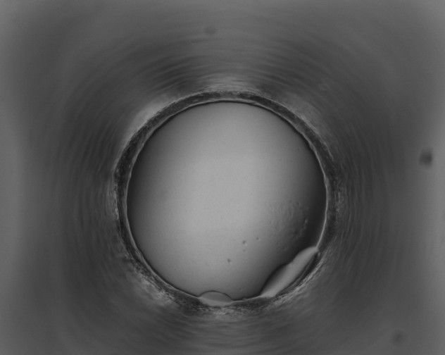X0000095691022200801151143