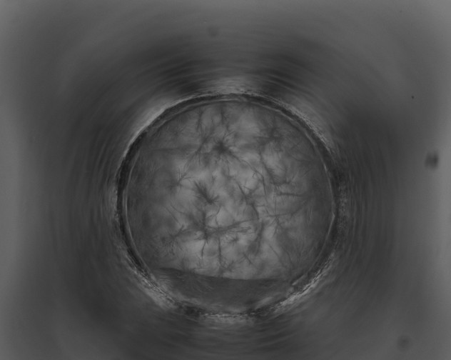 X0000095691023200801151144