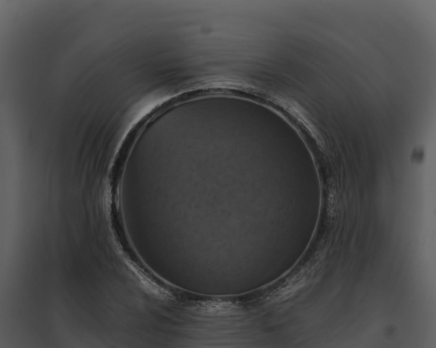 X0000095691024200801151144