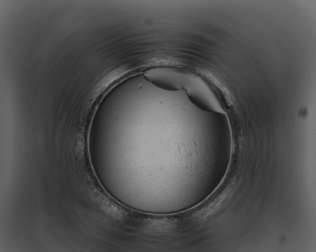 X0000095691025200801151144