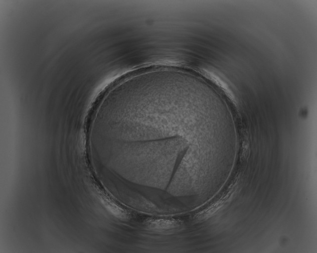 X0000095691027200801151144