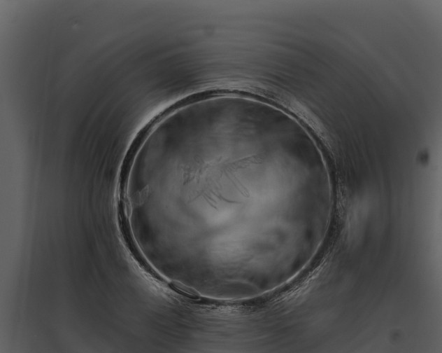 X0000095691028200801151144