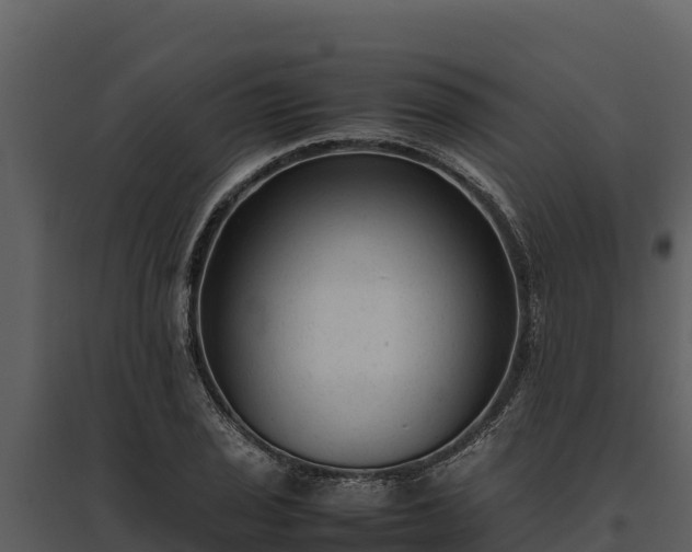 X0000095691029200801151144