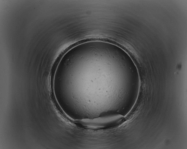 X0000095691030200801151144