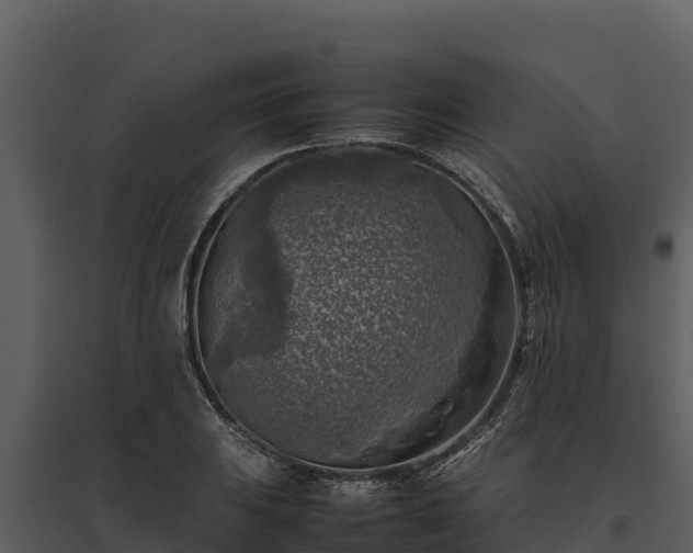 X0000095691031200801151144
