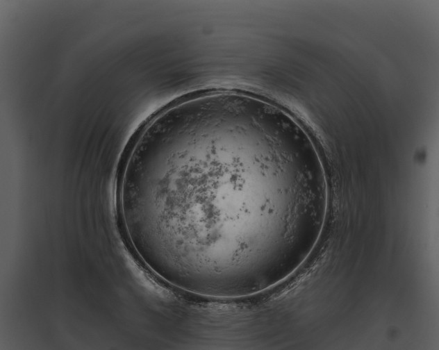 X0000095691032200801151144