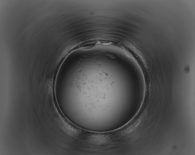 X0000095691033200801151144