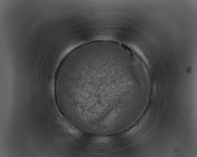 X0000095691035200801151144