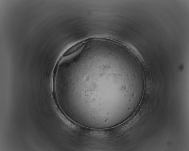 X0000095691036200801151144