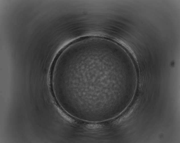X0000095691037200801151144