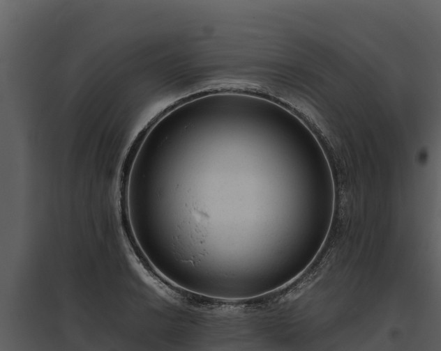 X0000095691038200801151144
