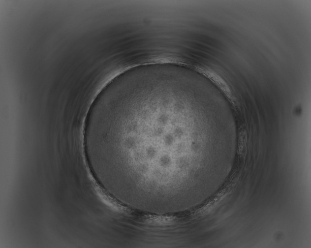 X0000095691039200801151144