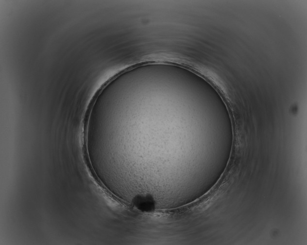 X0000095691040200801151144