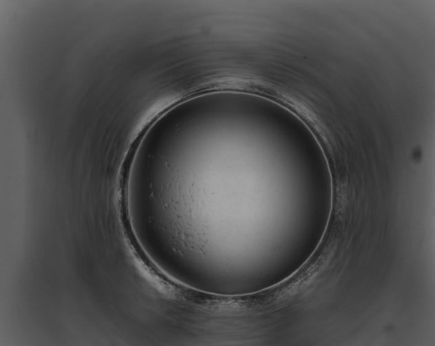 X0000095691042200801151144