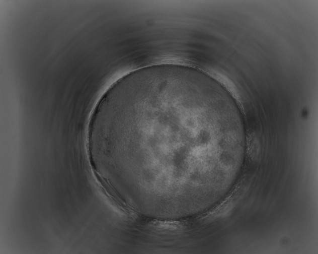 X0000095691043200801151144