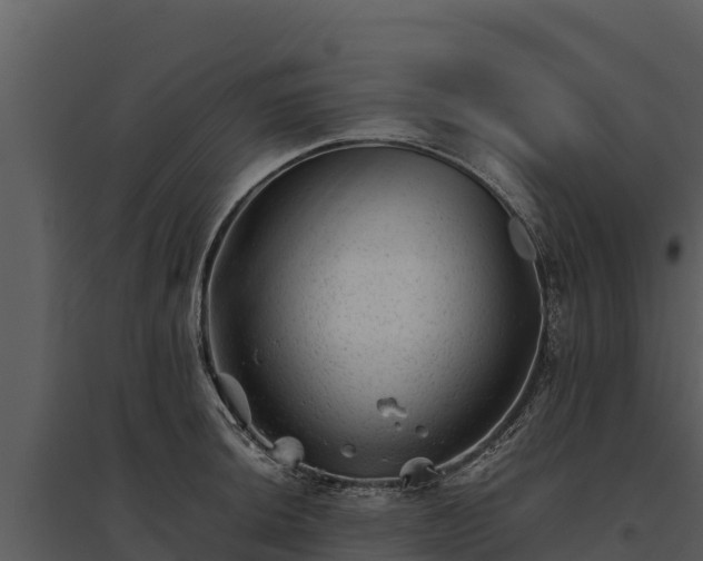 X0000095691044200801151144