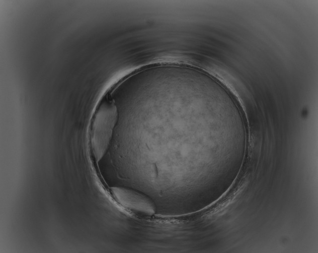 X0000095691045200801151144