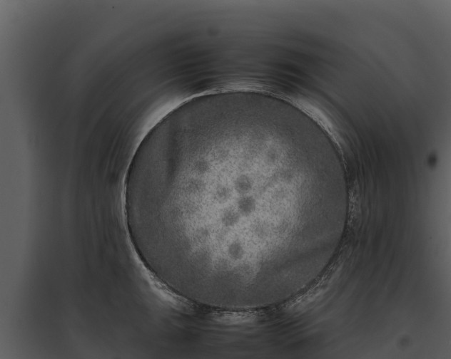 X0000095691047200801151144