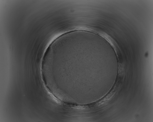X0000095691048200801151144
