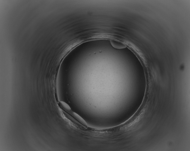 X0000095691049200801151144
