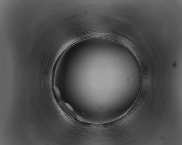 X0000095691050200801151144