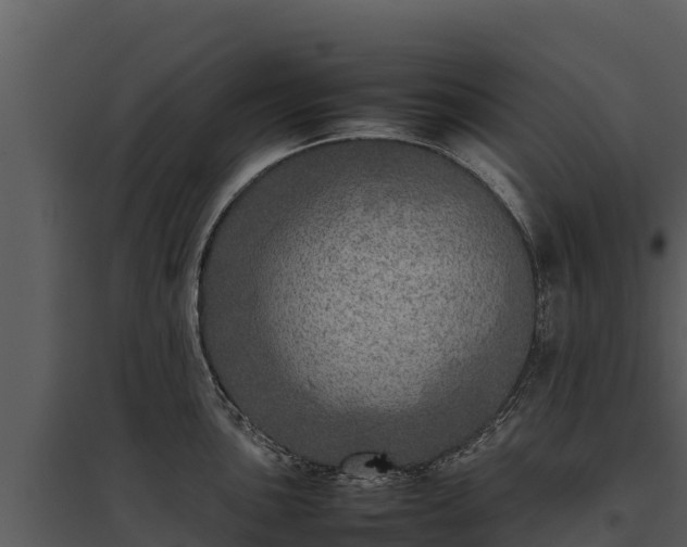 X0000095691051200801151144