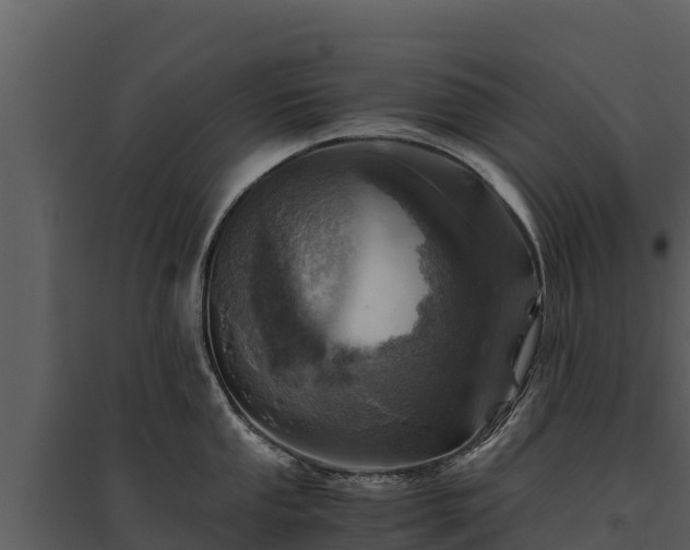 X0000095691053200801151144