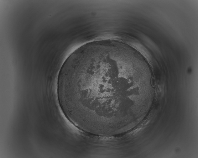 X0000095691055200801151144
