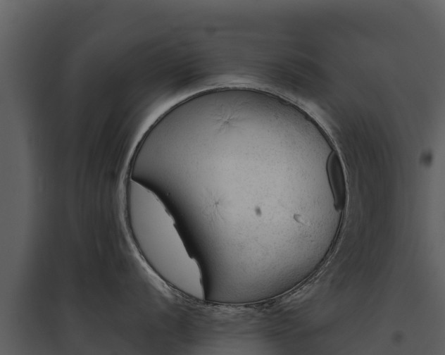 X0000095691056200801151144