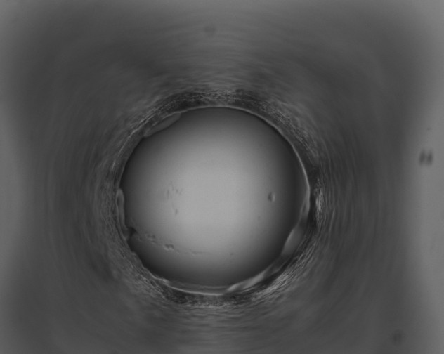X0000095691057200801151143