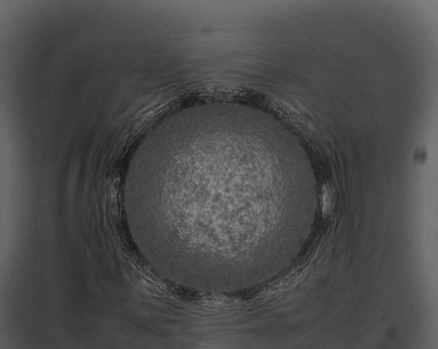 X0000095691059200801151143