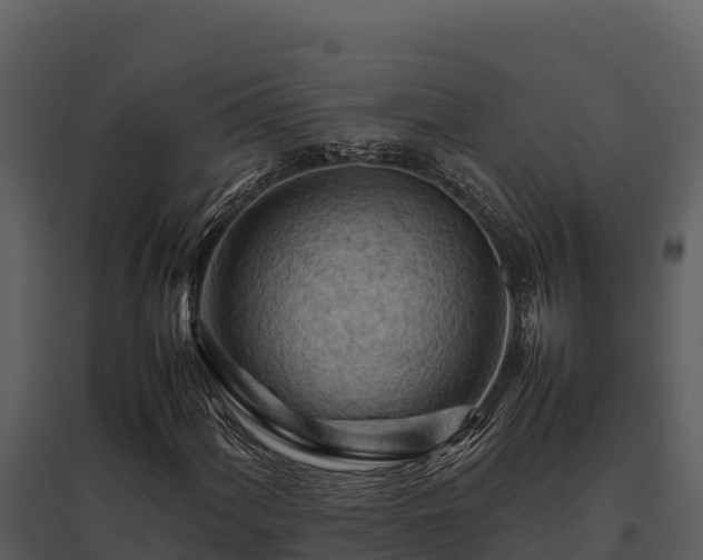 X0000095691060200801151143