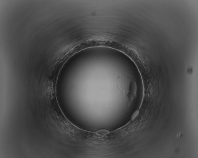 X0000095691062200801151143