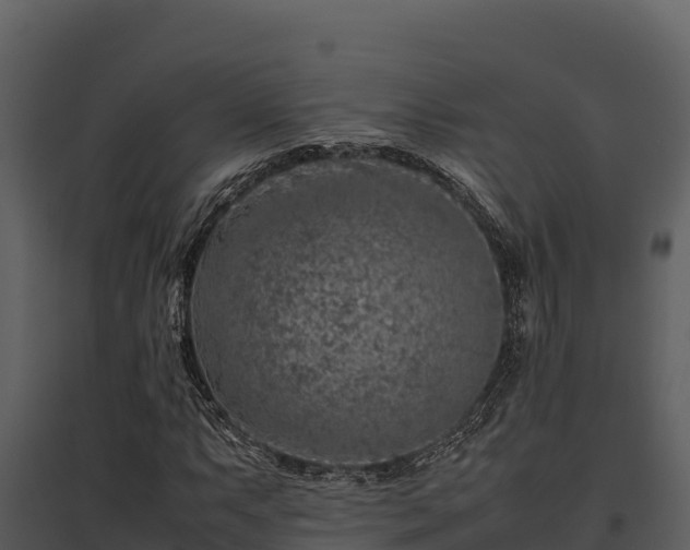 X0000095691063200801151143