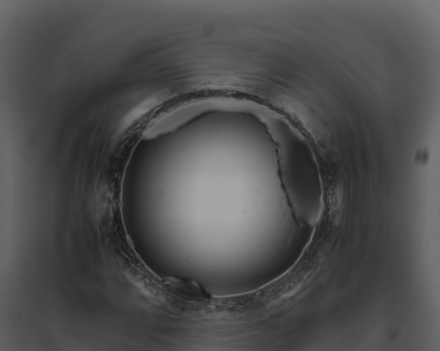 X0000095691064200801151143