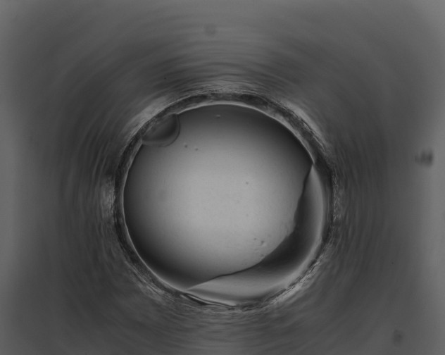 X0000095691065200801151143