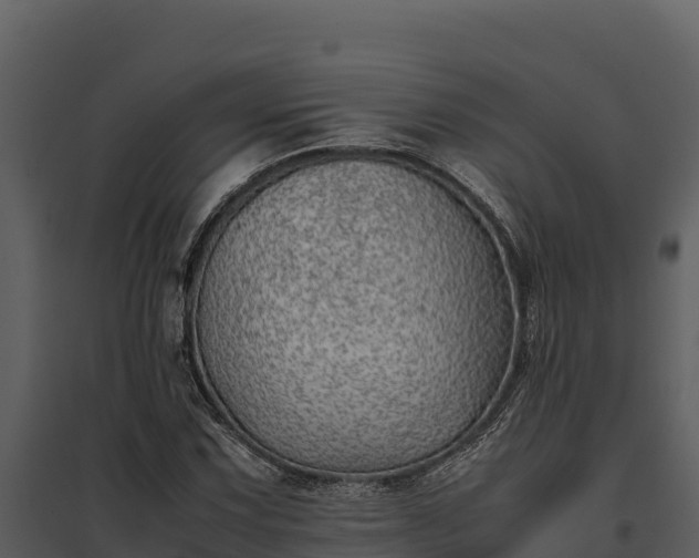 X0000095691067200801151143