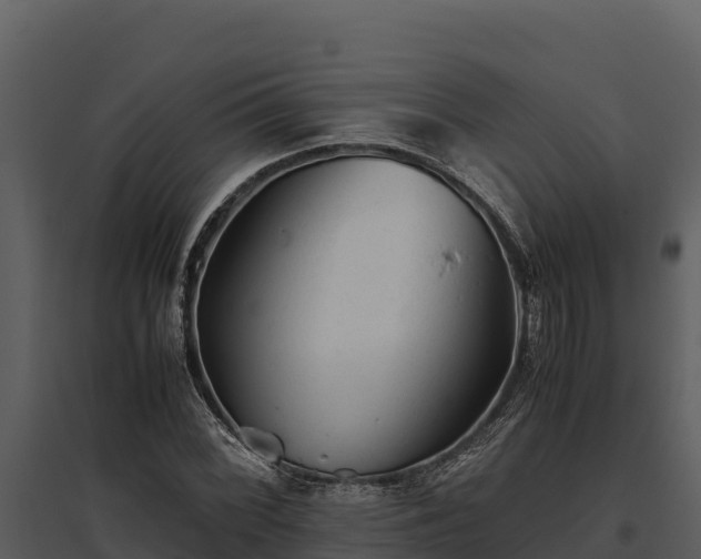 X0000095691068200801151143