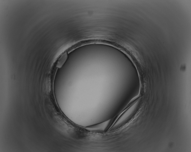 X0000095691069200801151143