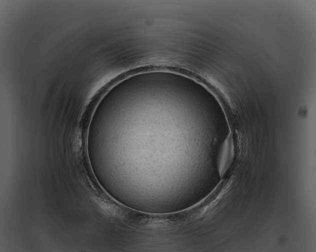 X0000095691070200801151143
