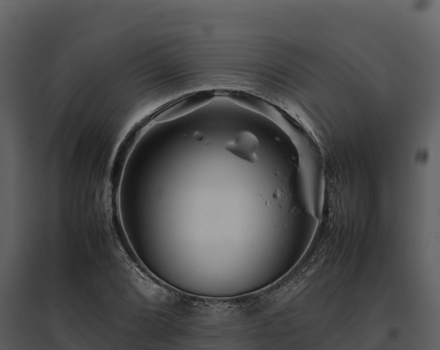 X0000095691072200801151143
