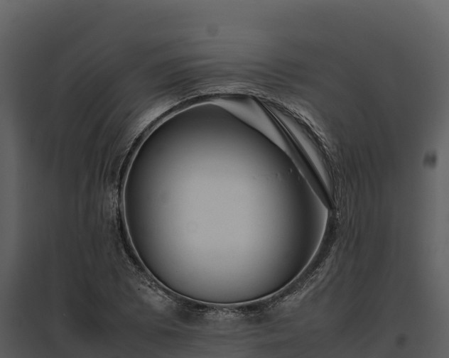 X0000095691073200801151143