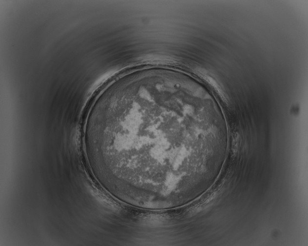 X0000095691074200801151143