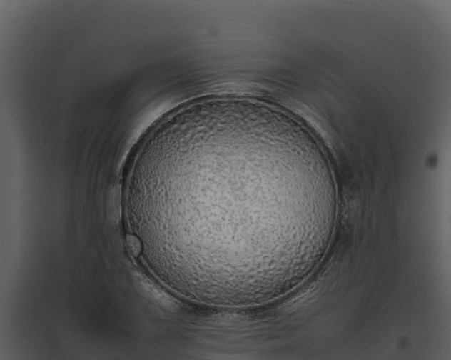 X0000095691075200801151143