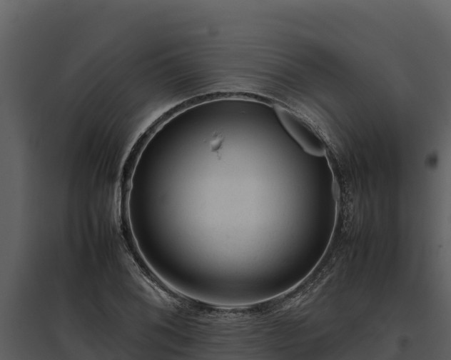 X0000095691076200801151143