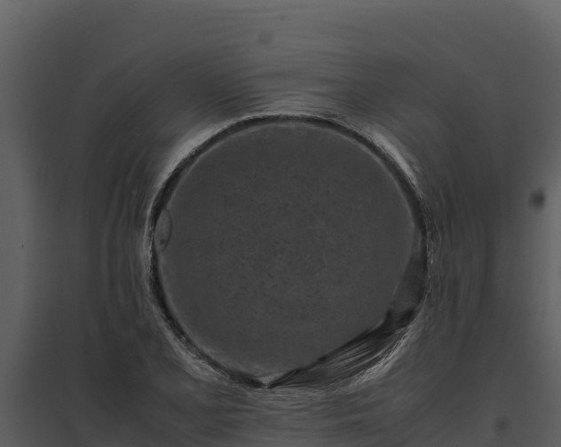 X0000095691077200801151143