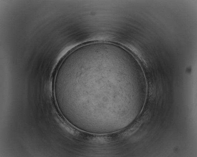 X0000095691078200801151143