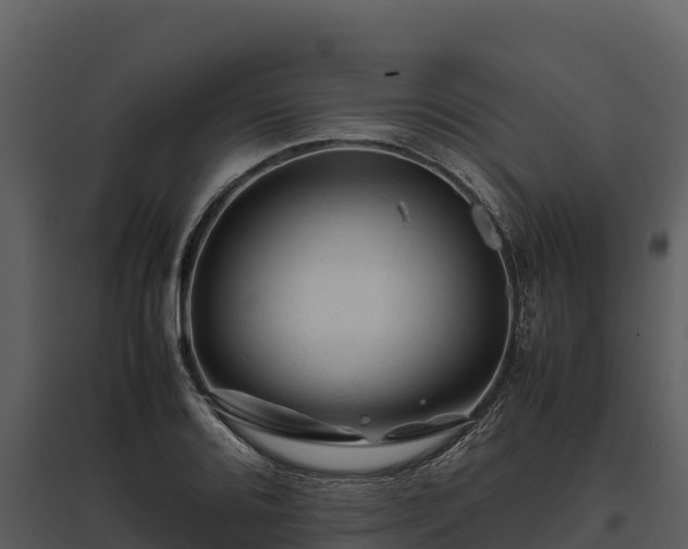 X0000095691080200801151143