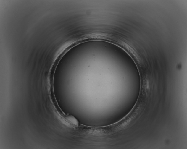 X0000095691082200801151143