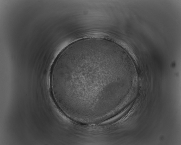 X0000095691083200801151143